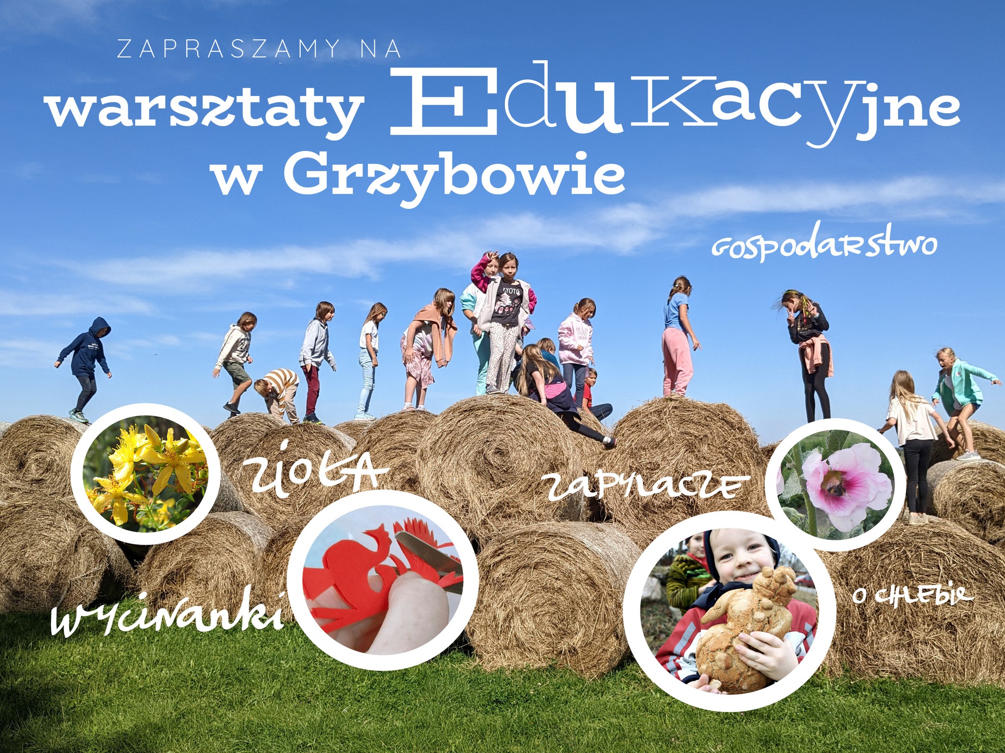 Warsztaty dla dzieci i młodzieży oraz Zielone szkoły w sezonie 2026